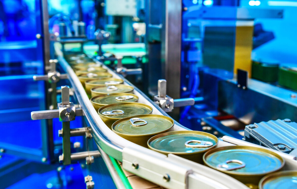 Metal beverage cans on a conveyor belt