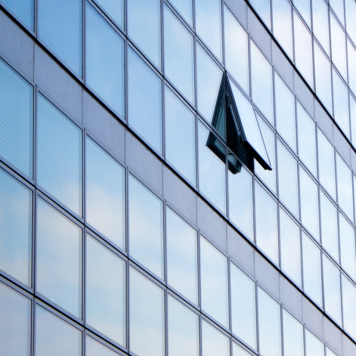 Windows in a modern office building