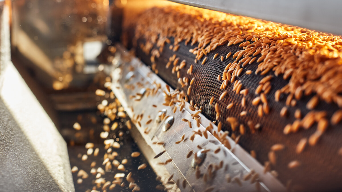 processing grains