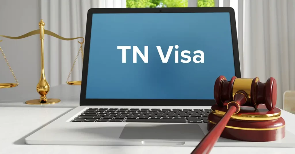 image of a gavel and computer screen with a the term tn visa on the screen