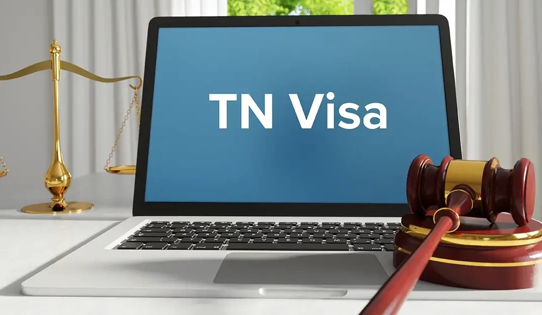 What Is a TN Visa?