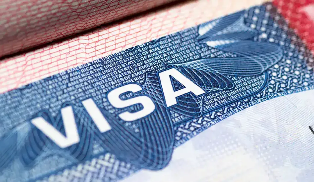 ¿Con Qué Tipos de Visas Pueden Ayudar Siri y Glimstad?