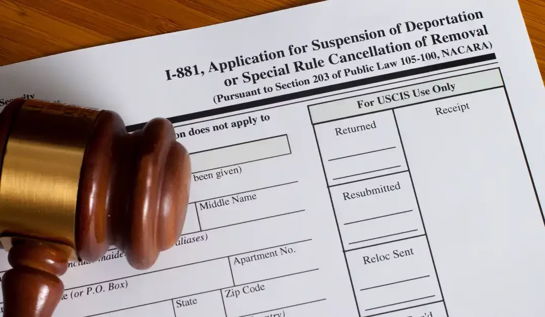 Immigration Removal Proceedings: Deportation Processes in 2025