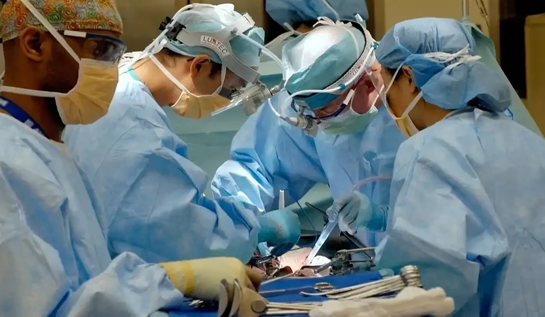 Surgical Errors: A Step-by-Step Guide to Navigating Medical Malpractice