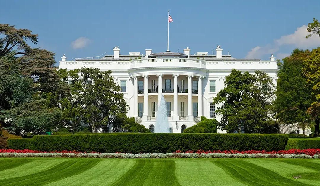 Current Status: Federal Government Asylum Pause