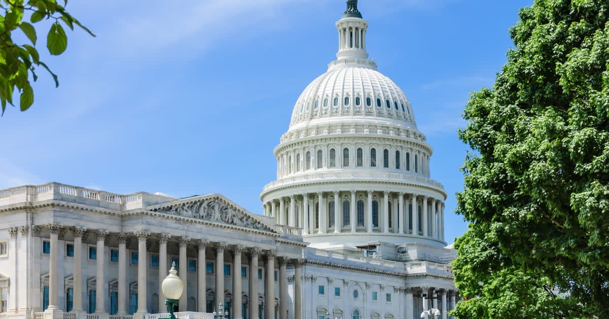 United States Capitol building in Washington, DC, representing federal laws and programs governing vaccine injury claims